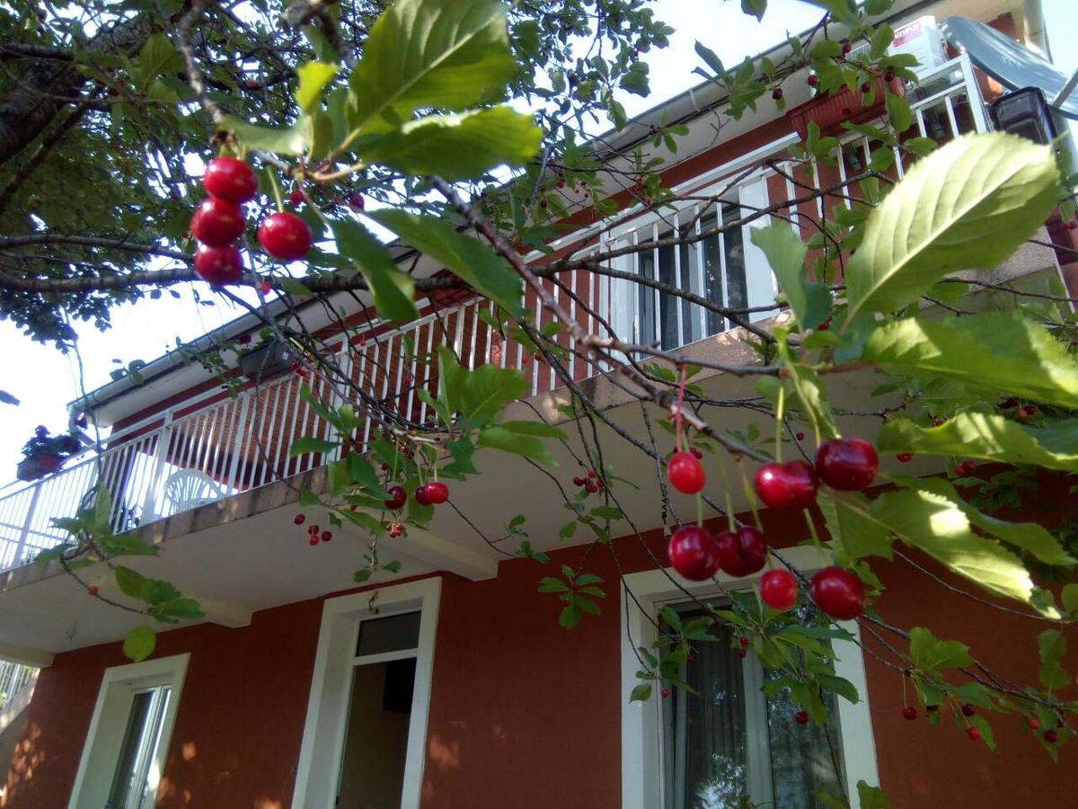 Apartman Vesna فيربازار المظهر الخارجي الصورة